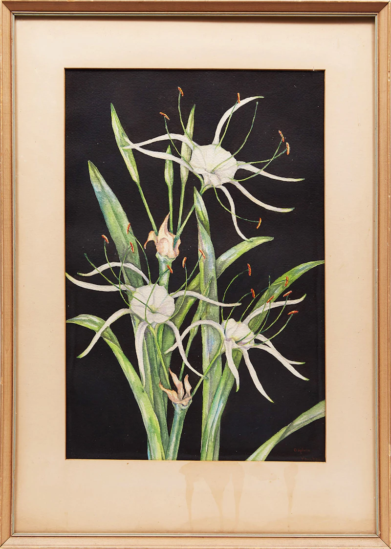 Daphne Vaughan, Floral Study , watercolour - view 2