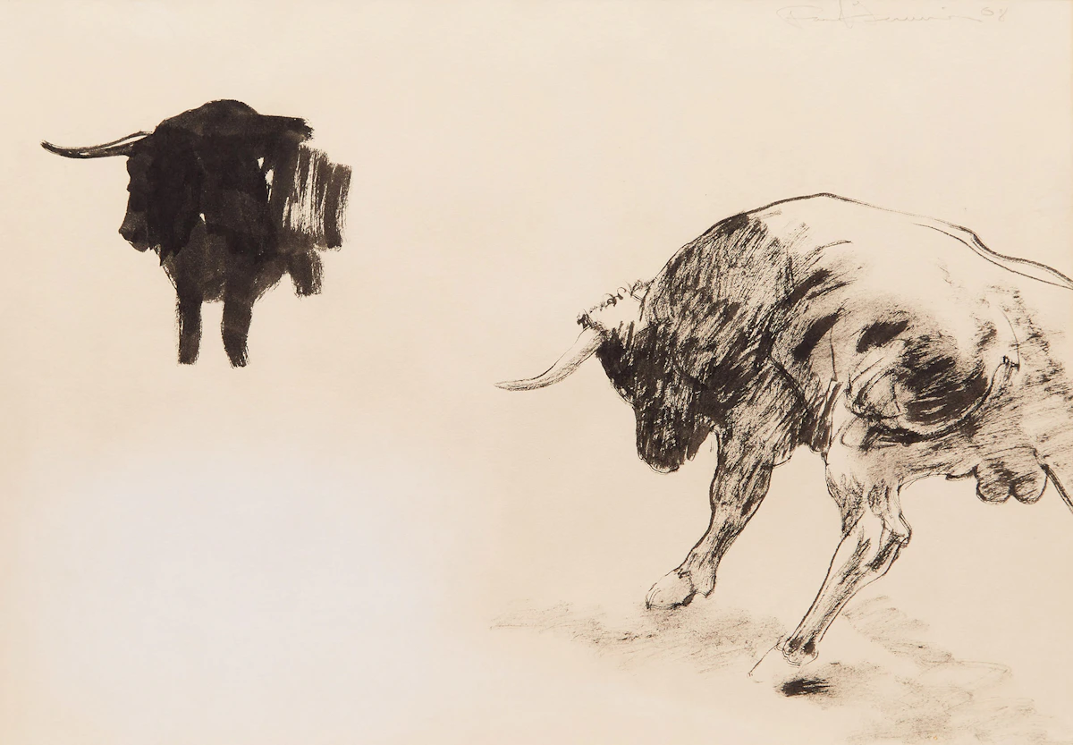 Paul Fournier, Steer Studies , ink on paper, 2008