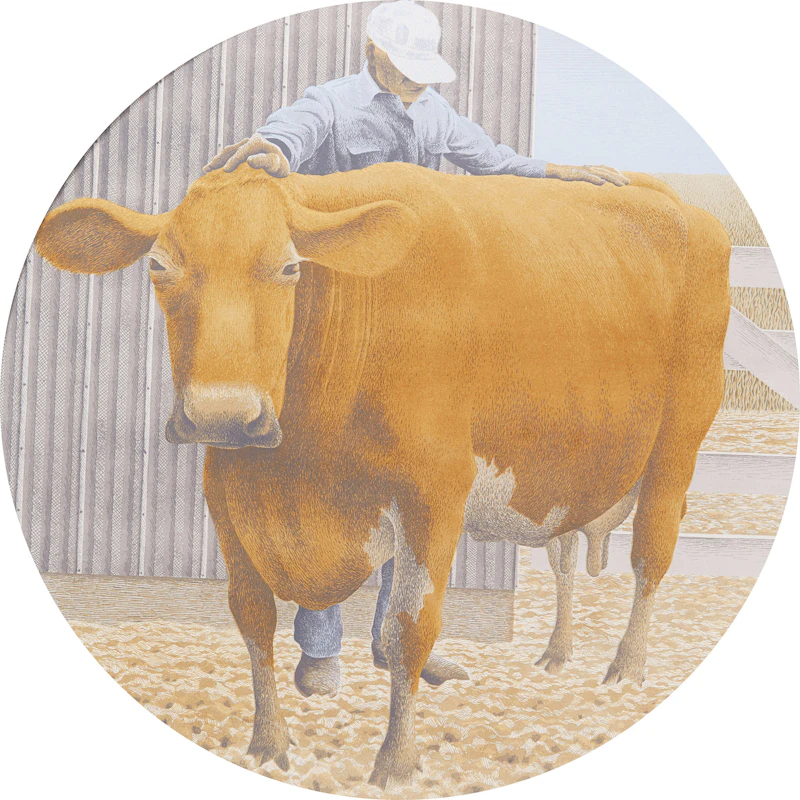 Prize Cow by David Alexander Colville