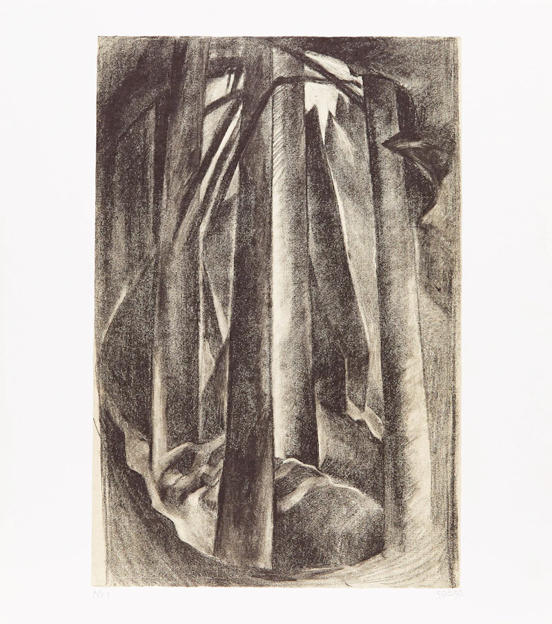 Doris Shadbolt, The Art of Emily Carr, book with folio of six prints - view 4