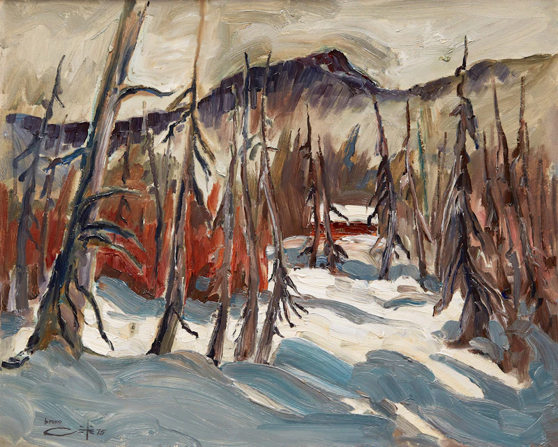 Près du Rang St. Nicolas by Bruno Côté