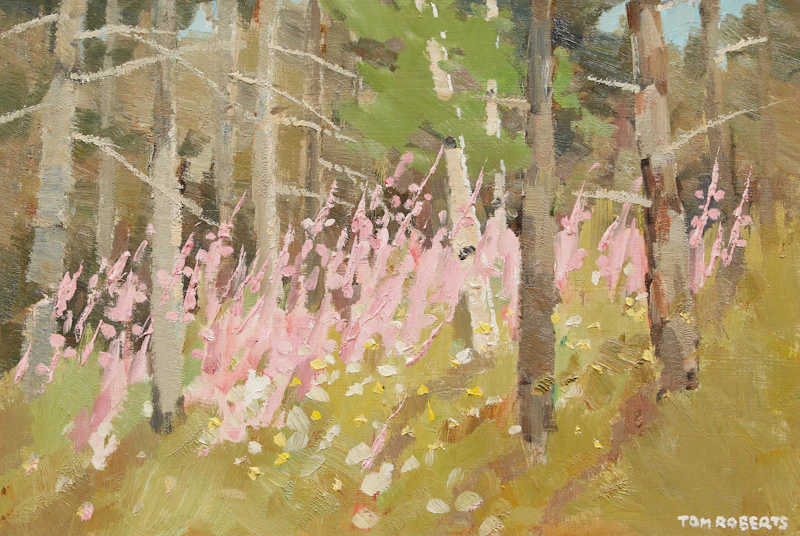 Forest Landscape by Thomas Keith Roberts