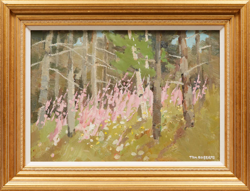 Thomas Keith Roberts, Forest Landscape , oil on board - view 2