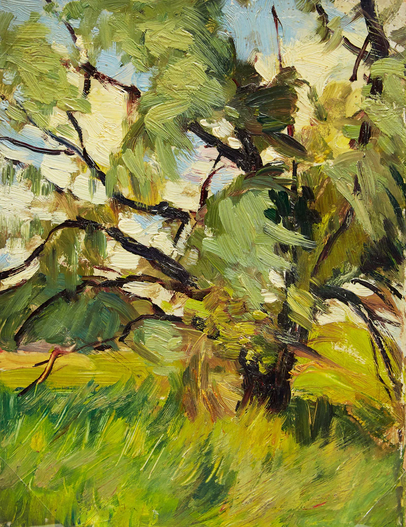 Frederic Marlett Bell-Smith, Study of a Tree, oil on board
