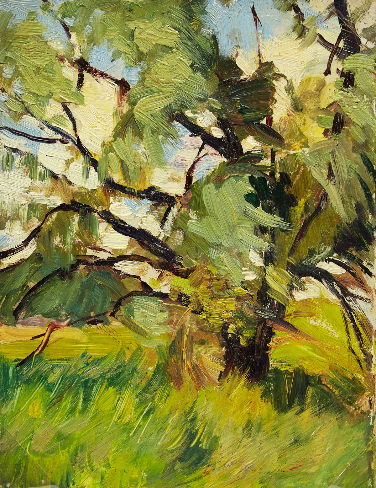 Frederic Marlett Bell-Smith, Study of a Tree, oil on board