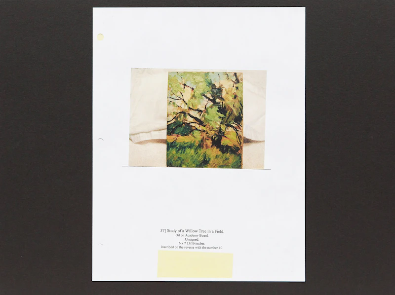 Frederic Marlett Bell-Smith, Study of a Tree, oil on board - view 3