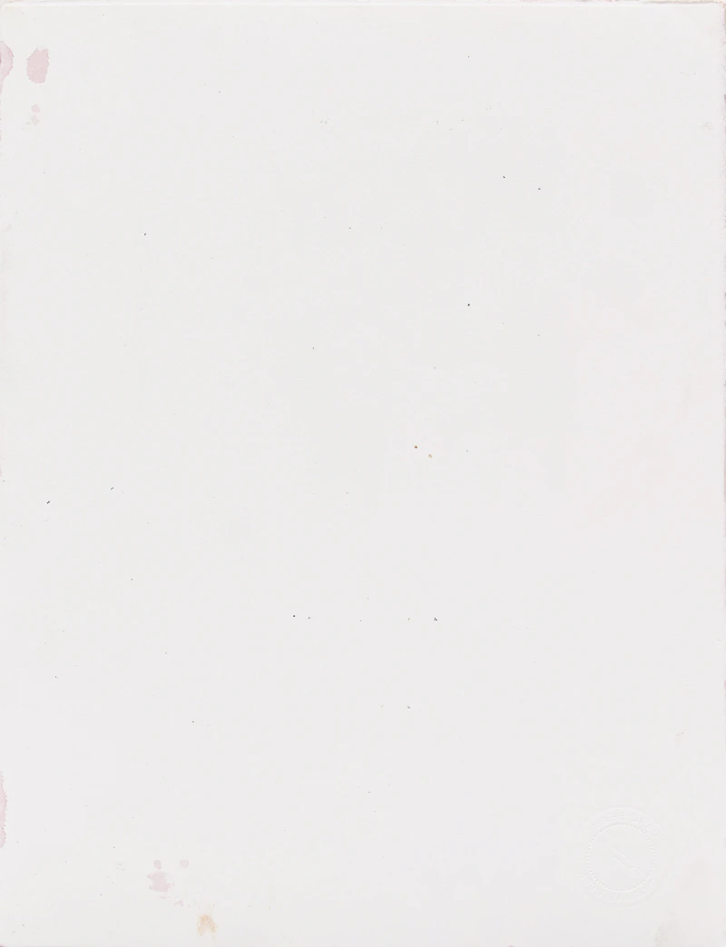 Carl Beam, Untitled (Albert Einstein) , mixed media on paper - view 2