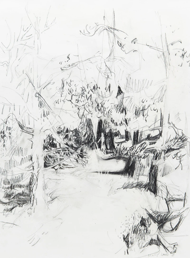 Molly Lamb Bobak, Forest Path, charcoal on paper - view 1
