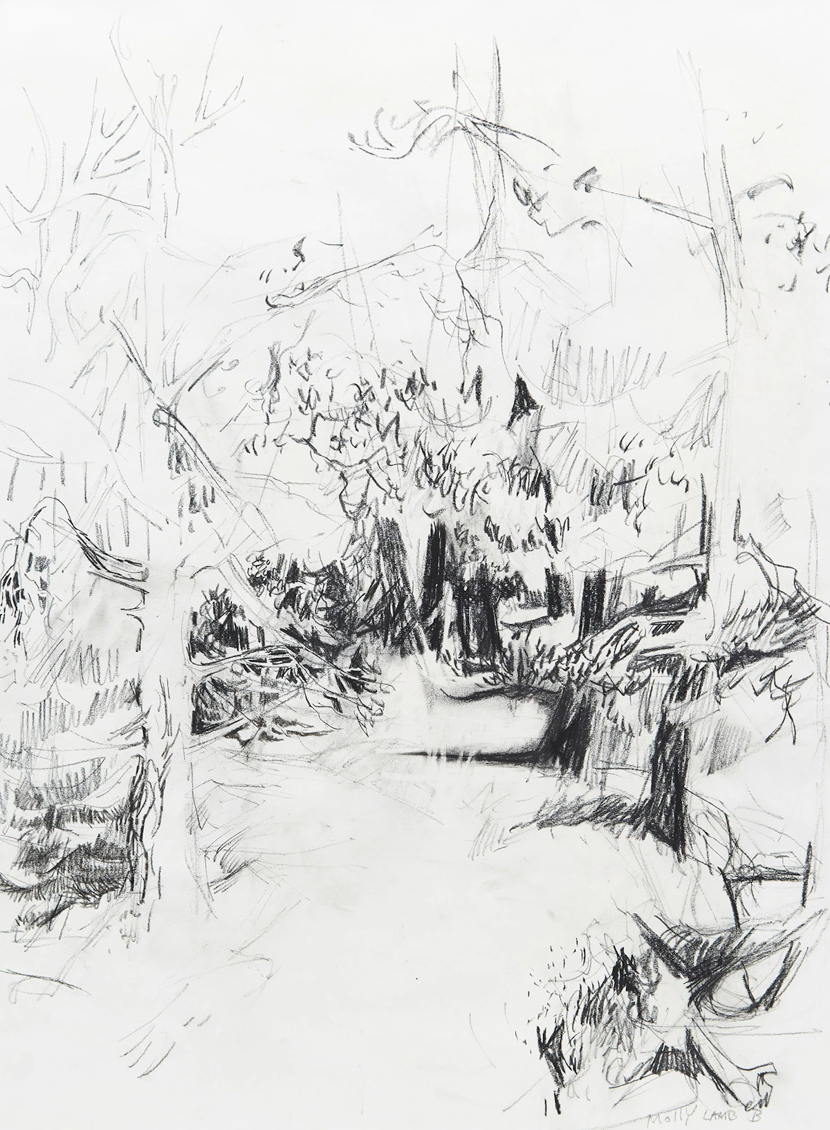 Molly Lamb Bobak, Forest Path, charcoal on paper