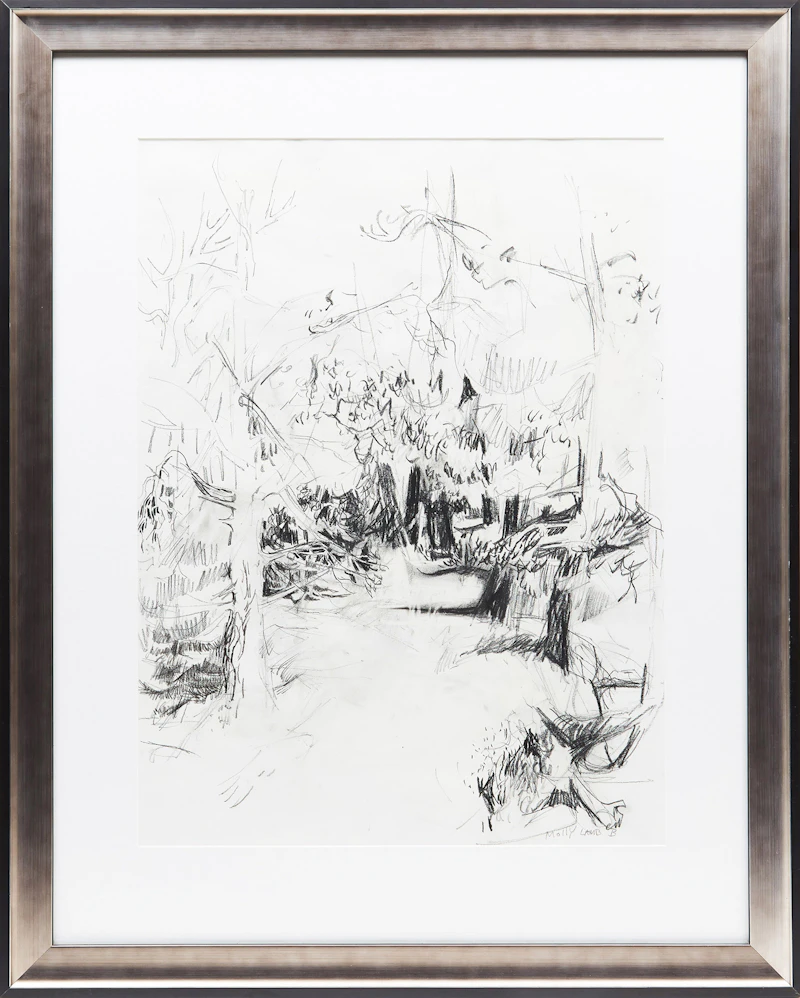 Molly Lamb Bobak, Forest Path, charcoal on paper - view 2