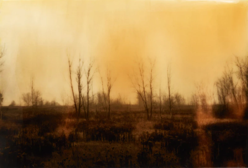 Joshua Jensen-Nagle, Grasses & Grains, photograph mounted to board