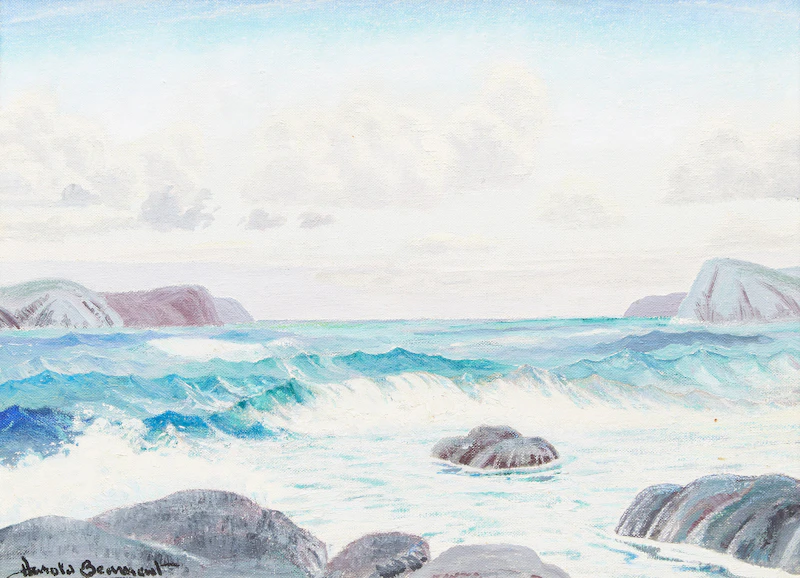 Rocky Cove, New-Foundland by Thomas Harold Beament