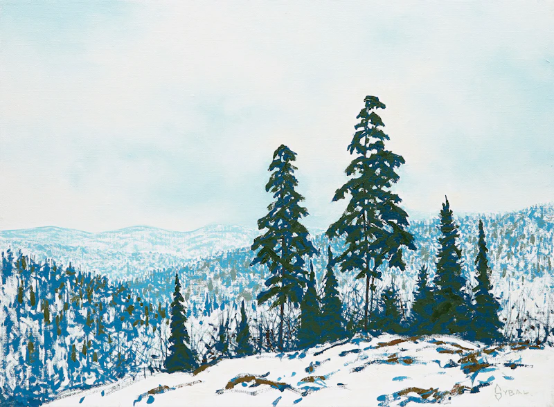 Early Snowfall by Philip Sybal