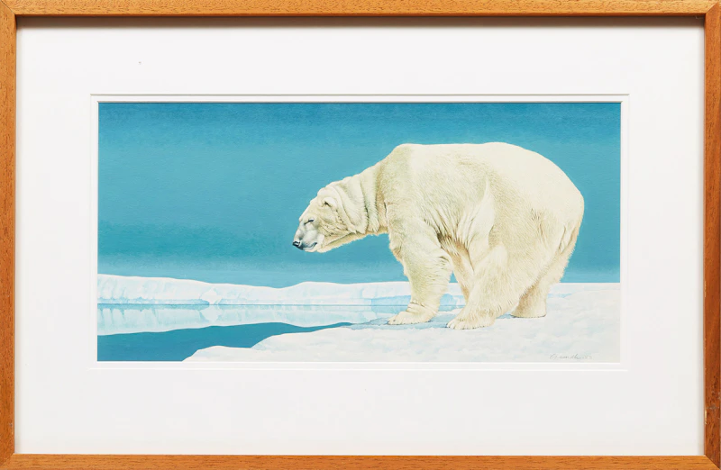 Jack Grundle, Polar Bear, watercolour, 1982 - view 2