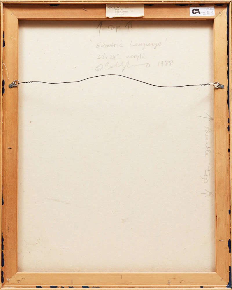 Bobby Tamo, Electric Language, acrylic on canvas, 1988 - view 3