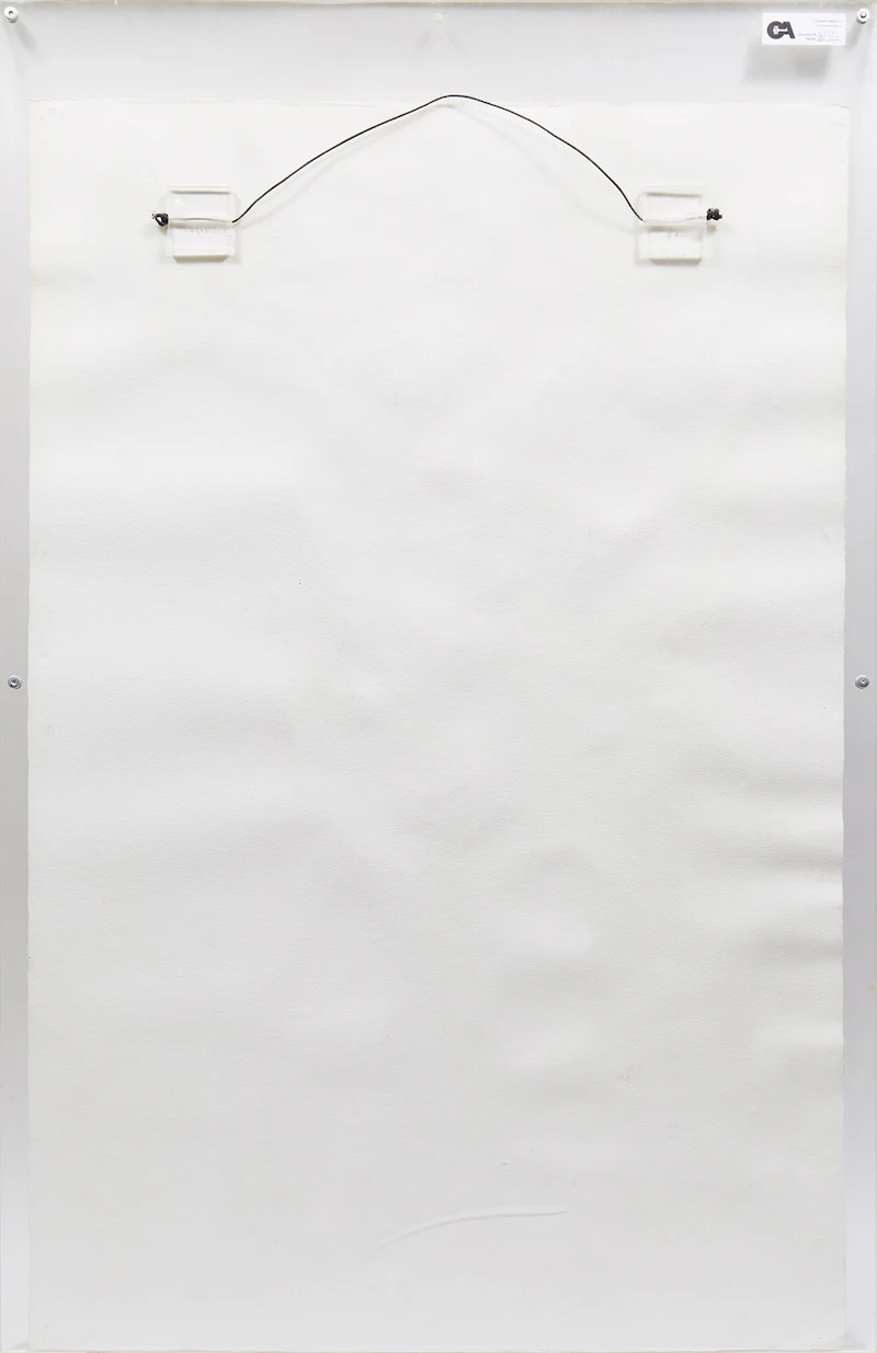 Joanne Corno, Torso, mixed media on paper - view 3