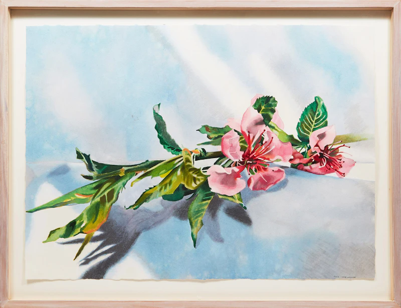 Lenni Workman, Spring Still Life #4 (Peach Blossom), watercolour and pastel, 1992 - view 2