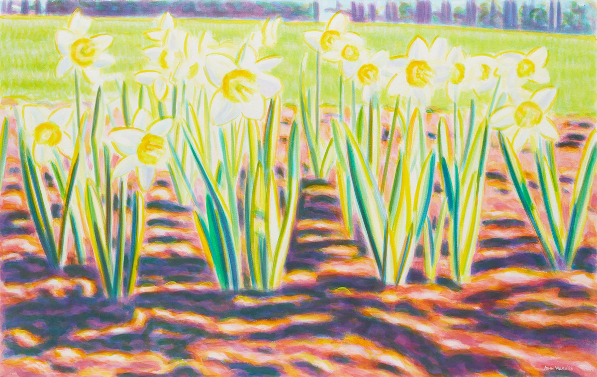 John Ward, Untitled (Flowers in Sunlight), watercolour, 1988