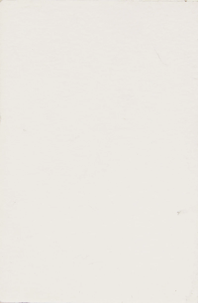 Lawrence Paul Yuxweluptun, Untitled, ink on museum board, 2019 - view 2
