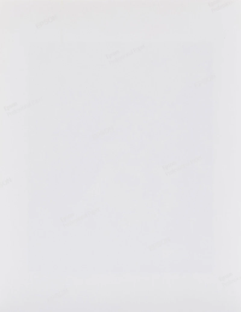 John Reeves, Test Print Portrait of Kazuo Nakamura , black and white laser jet photograph, circa 2010 - view 2