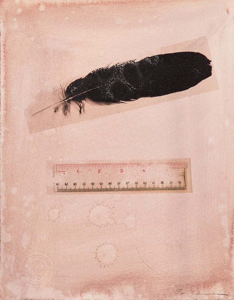 Untitled (Feather and Ruler) by Carl Beam