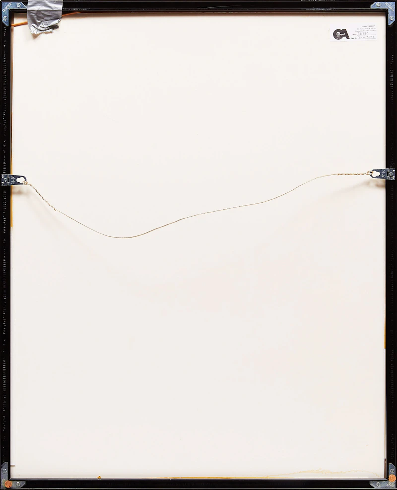 John Reeves, Man (Chris Pratt) with a Genius, digital print, 1994 - view 3