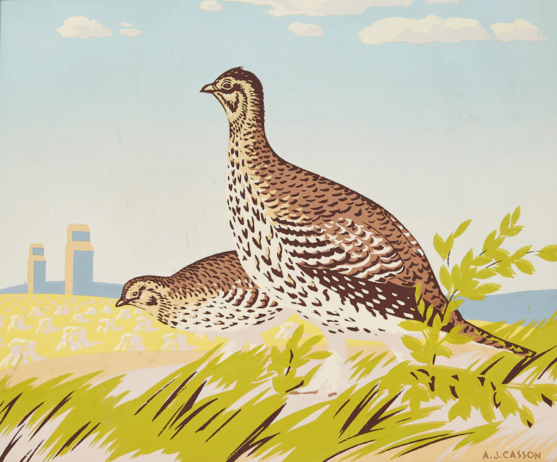 Alfred Joseph Casson, The Common Mallard; The Sharp Tailed Grouse, two silkscreens - view 4