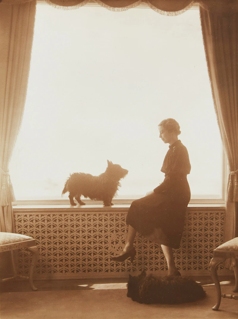 Yousuf Karsh, Woman at Window, photograph - view 1