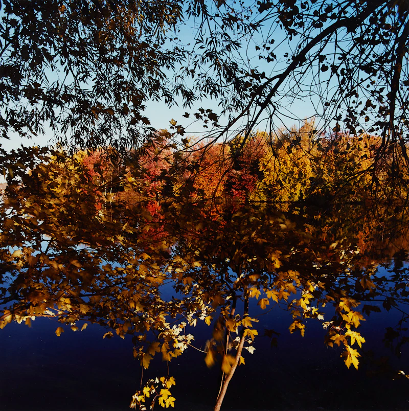 Reflection on Lake by Phil Bergerson