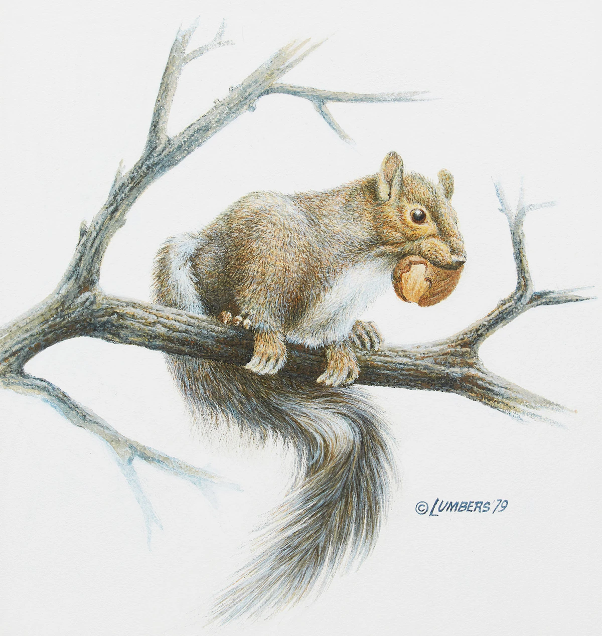 James Richard Lumbers, Squirrel; Bunny, two acrylics on board