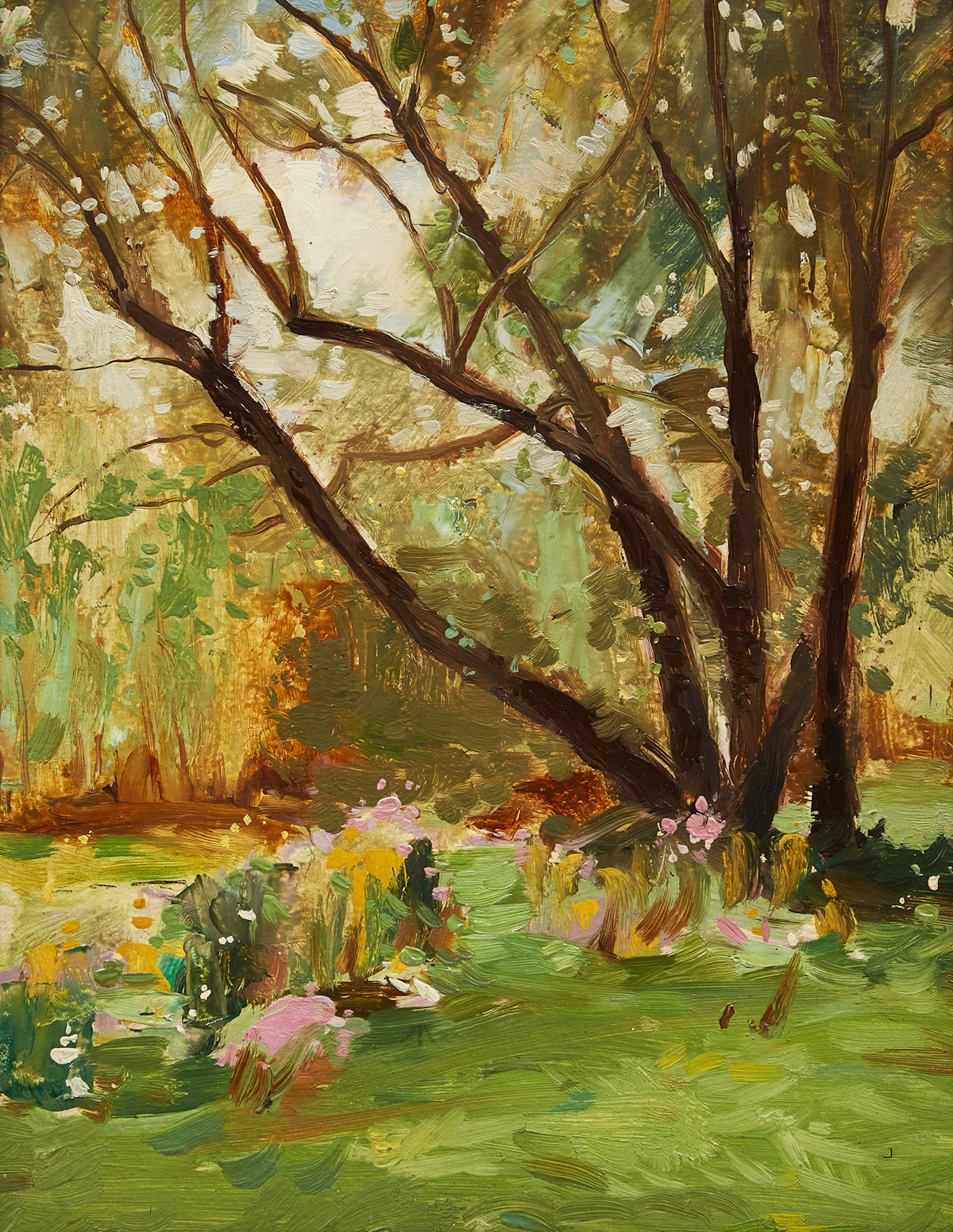 George Henry Griffin, Tree in Spring, oil on board