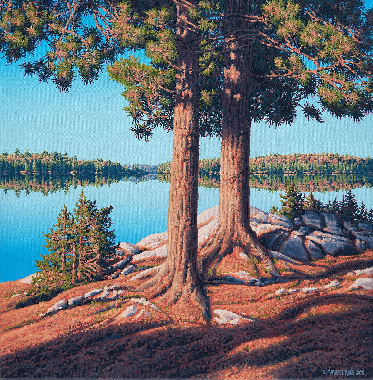 E. Robert Ross, Shoreline, Lake Opeongo, Algonquin Park, acrylic on canvas, 2020