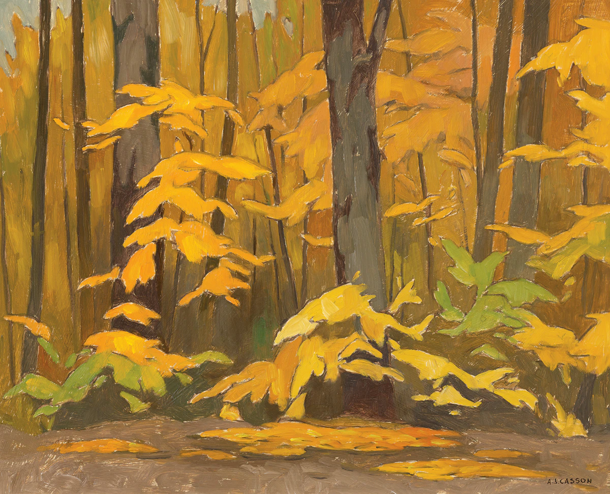 Alfred Joseph Casson, Maple Saplings, oil on board, 1979