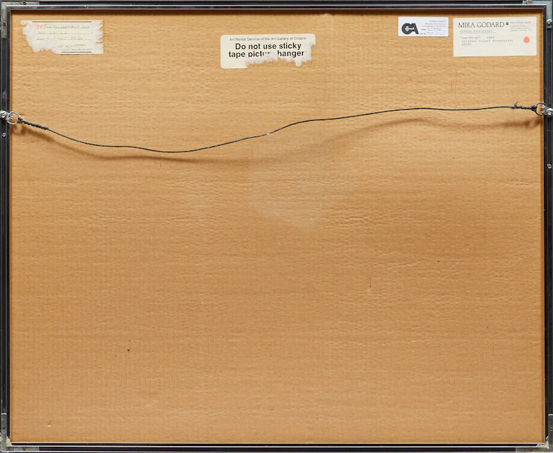 Claude Tousignant, Duo-66-66-1969, silkscreen, 1971 - view 3