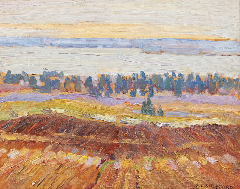 Peter Clapham Sheppard, Field and Distant Lake, oil on board