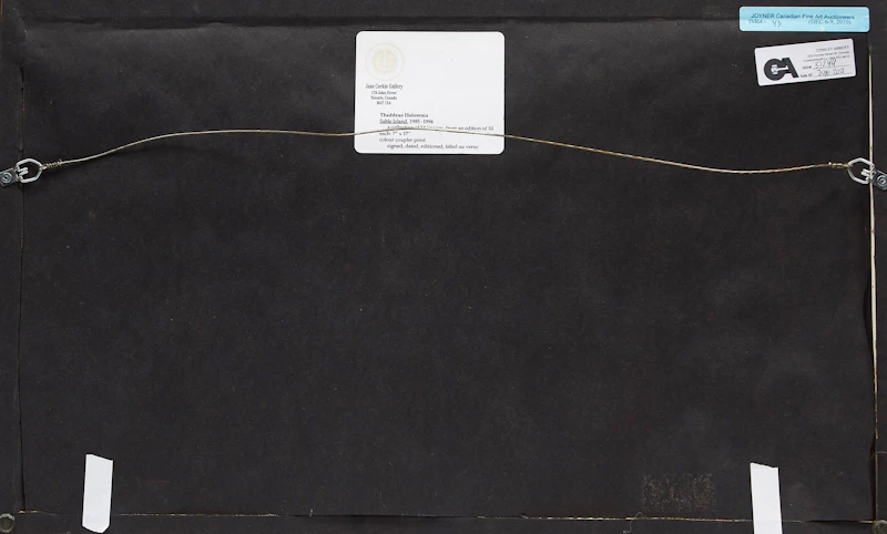 Thaddeus Holownia, Sable Island, colour coupler photograph - view 3
