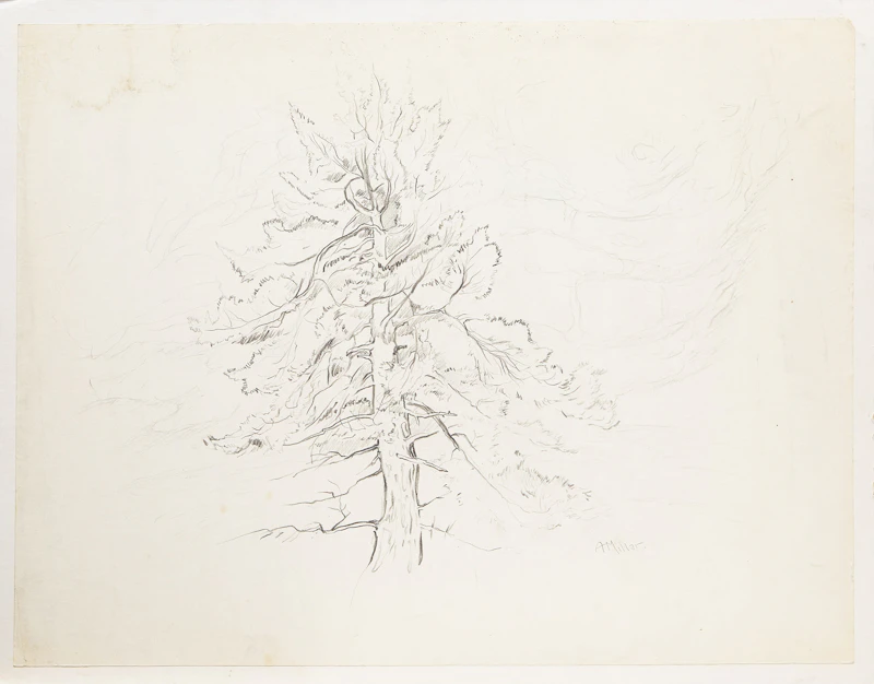 Alexander Samuel Millar, Tree Study; Forest Landscape; Lake Shore; Trees and Lake; Thistles , five works on paper laid down on board