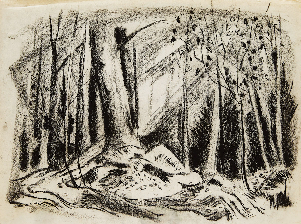 Alexander Samuel Millar, Forest Landscape; Country Landscape; Forest Study; Tree Study; Abstract Tree; Angry Cat, six works on paper