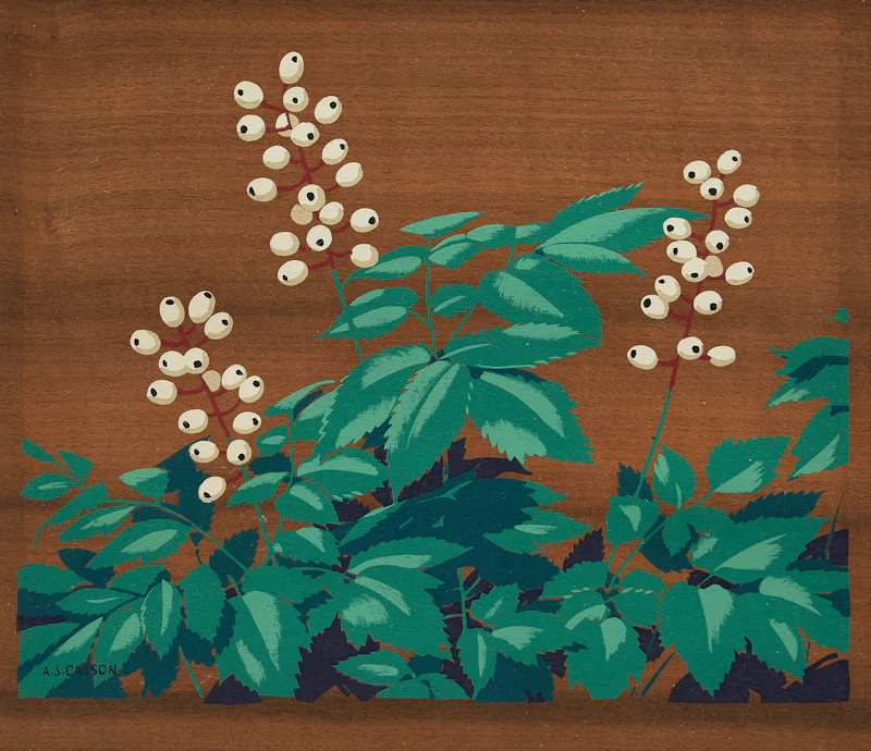 Alfred Joseph Casson, White Banberry, colour silkscreen on veneer