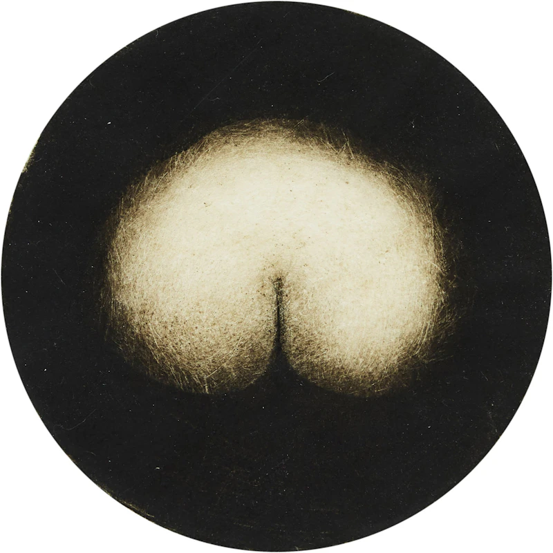 Looking for the Venus Butterfly by Hugh Seaforth Mackenzie