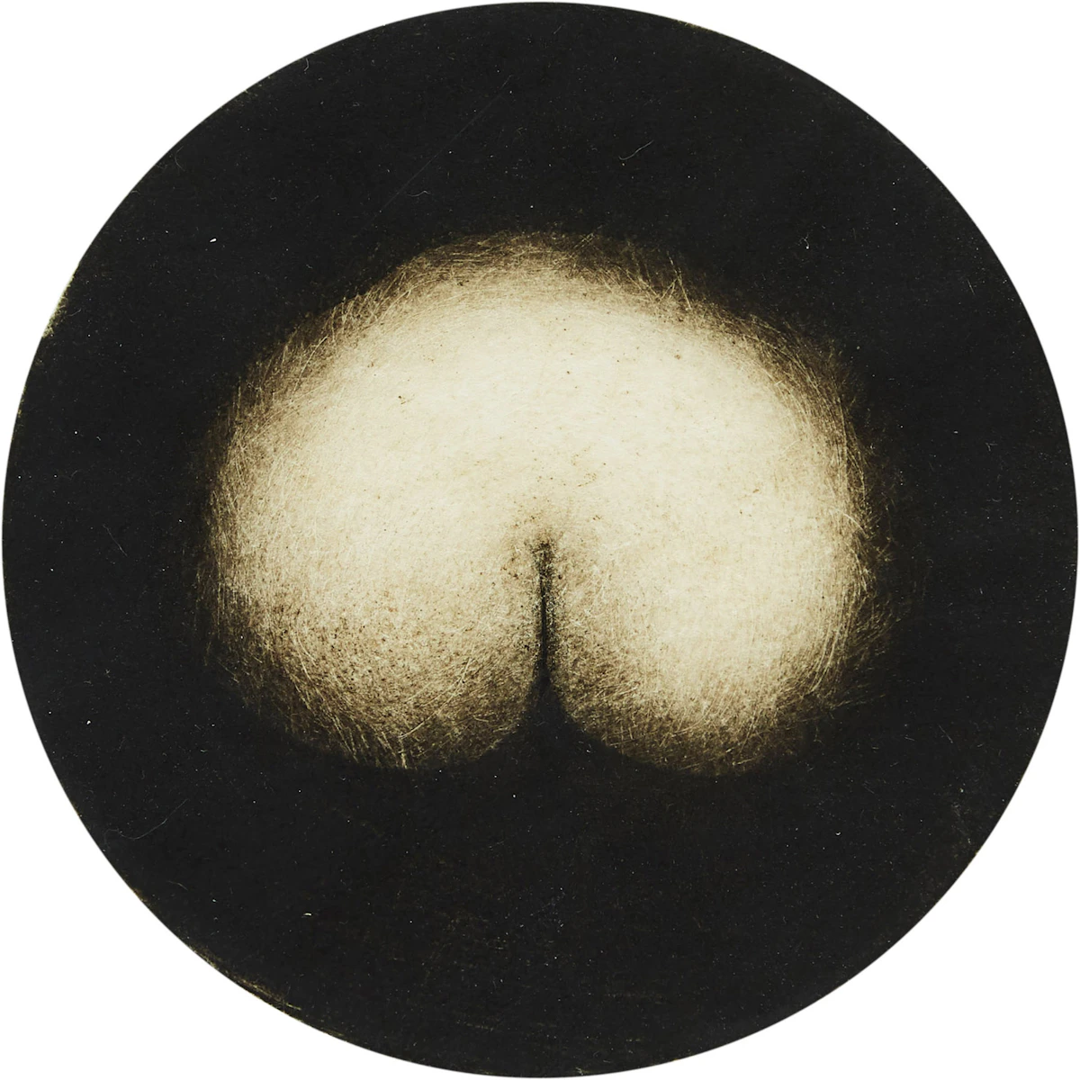 Hugh Seaforth Mackenzie, Looking for the Venus Butterfly, aquatint, 1997