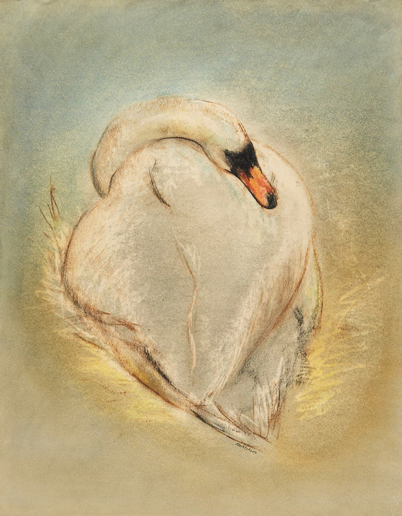 Swan by Louis Muhlstock