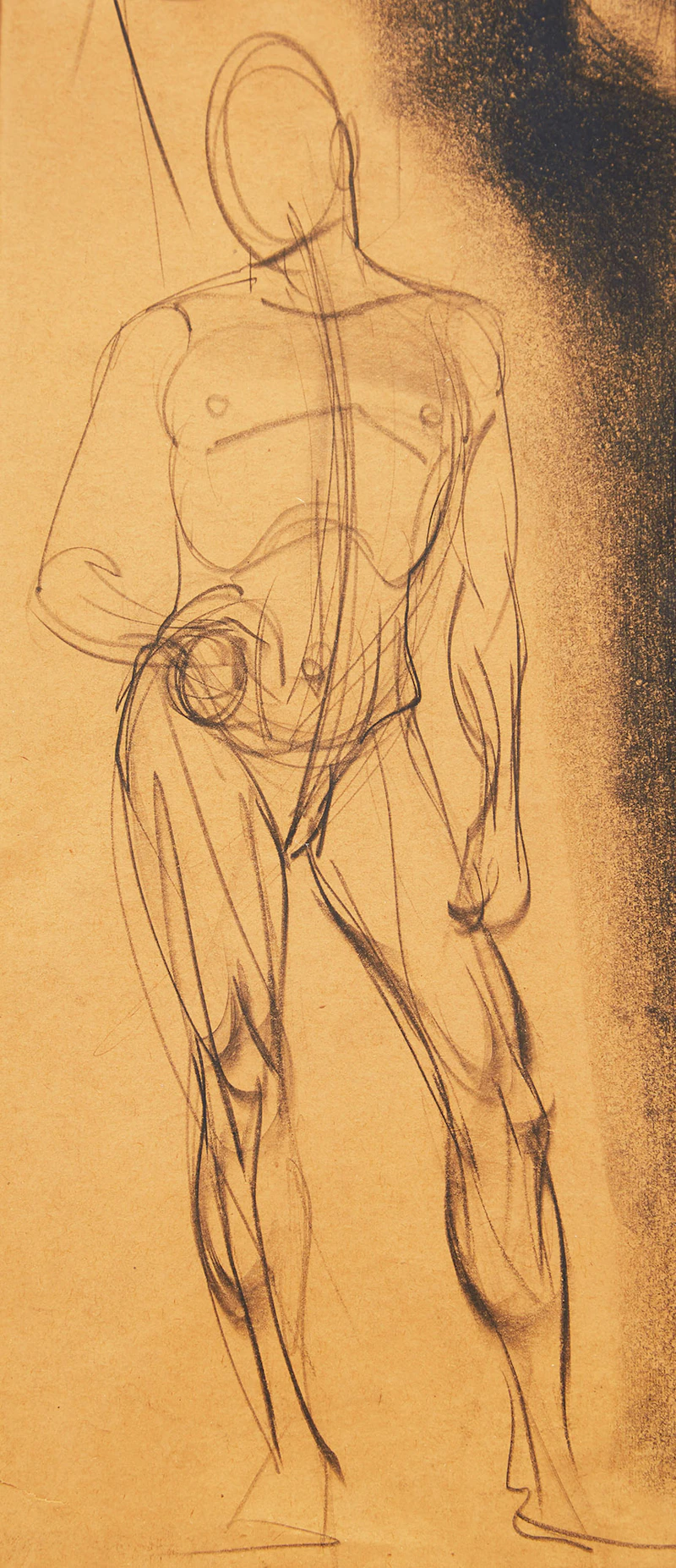 Anatomical Study and Head of a Bearded Man by Carlos Lopez
