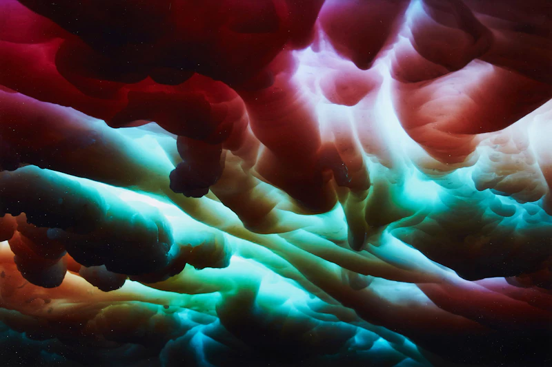 Utricle by Derek Evans