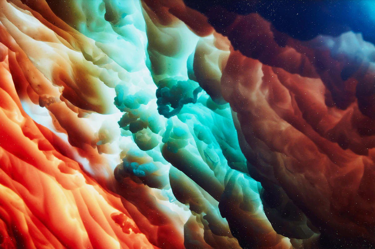 Derek Evans, Otoliths, c-print, 2012