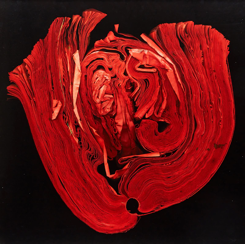 Heart by Cara Barer