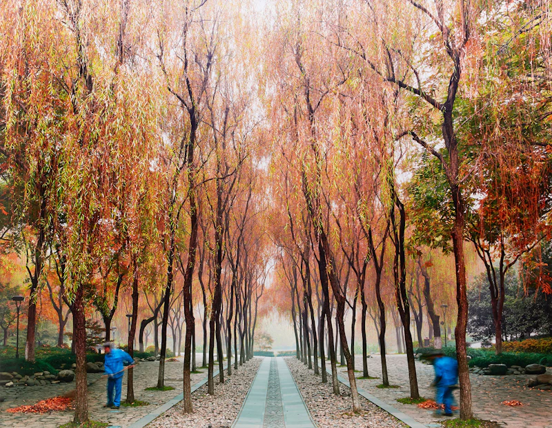 Sweepers, West Lake, Hangzhou, China by David Burdeny