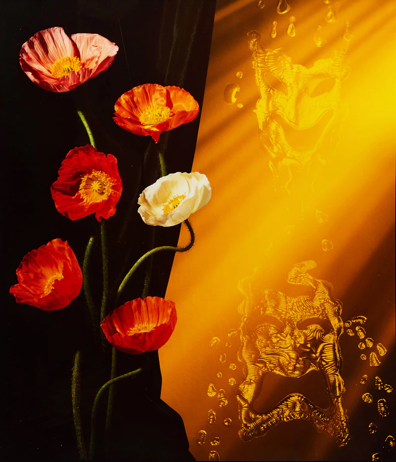 Poppies (from the portfolio “In A Dream: Photographers+Friends United Against Aids”) by Frank Majore