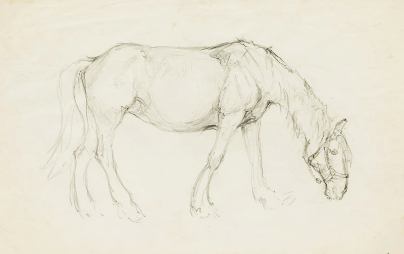 Horse by Manly Edward MacDonald