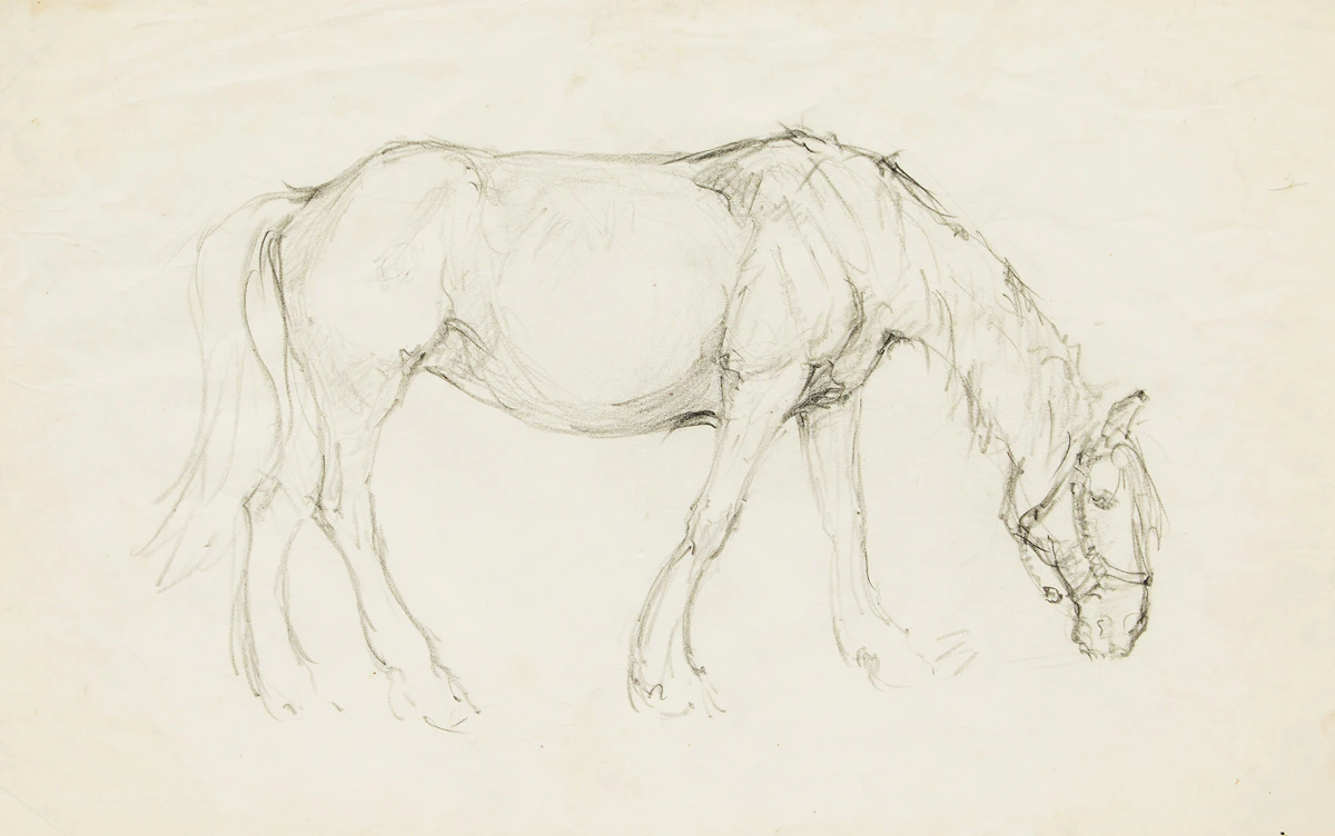 Manly Edward MacDonald, Horse, pencil sketch